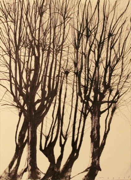 http://www.megael.net/fr/images/alberi/6-%20Mains,%202008,%20encre,%2054x40%20%20.jpg