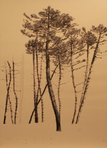 http://www.megael.net/fr/images/alberi/7-%20Quatorze%20pins,%202009,%20encre,%2070x50%20.jpg